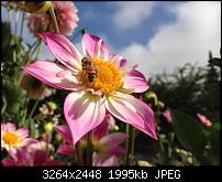 Fotos mit dem iPhone5-photo_full_1.jpg