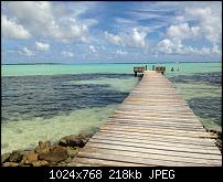 Eure Fotos mit dem iPhone 5-imageuploadedbytapatalk1353189715.908213.jpg