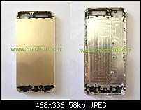 Bauteile des iPhone 5S-iphone5s_gold1.jpg