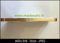 Bauteile des iPhone 5S-iphone5s_gold2.jpg