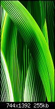 iPhone 5 Wallpaper-1182xiphone.jpg