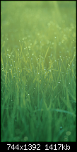 iPhone 5 Wallpaper-116-2x-iphone.png