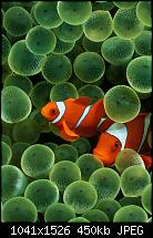 Der iPhone 5C Wallpaper Thread-tumblr_mtdqomg6ox1sis5fuo1_1280.jpg