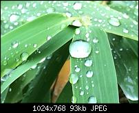 [Foto/Video] Der iPhone 5S Foto und Video Thread - zeigt Eure Bilder und Videos-imageuploadedbypocketpc.ch1381499170.917310.jpg