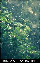 Der iPhone 5S/SE Wallpaper Thread-freeios7.com_raining-summer-sunny_iphone5_parallax.jpg