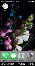Zeigt euren iPhone 5S/SE Homescreen-imageuploadedbytapatalk1413392245.269005.jpg