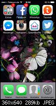 Zeigt euren iPhone 5S/SE Homescreen-imageuploadedbytapatalk1413392258.103421.jpg
