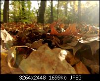[Foto/Video] Der iPhone 5S Foto und Video Thread - zeigt Eure Bilder und Videos-img_3995.jpg