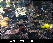 Kamera des iPhone SE-img_0150.jpg