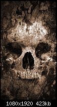 Der iPhone 6 Plus Wallpaper Thread-z-wallpaper-full-hd-1080-x-1920-smartphone-skull.jpg
