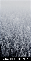 Der iPhone 6 Wallpaper Thread-2.png