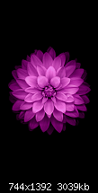 Der iPhone 6 Wallpaper Thread-12.png