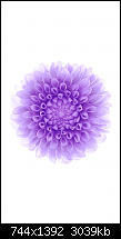 Der iPhone 6 Wallpaper Thread-15.png