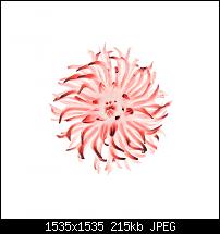 Der iPhone 6 Plus Wallpaper Thread-blume-1.jpg