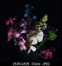 Der iPhone 6 Plus Wallpaper Thread-blumen.jpg