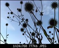 iPhone 6 Plus-Bilder-Thread-imageuploadedbypocketpc.ch1411234202.350100.jpg