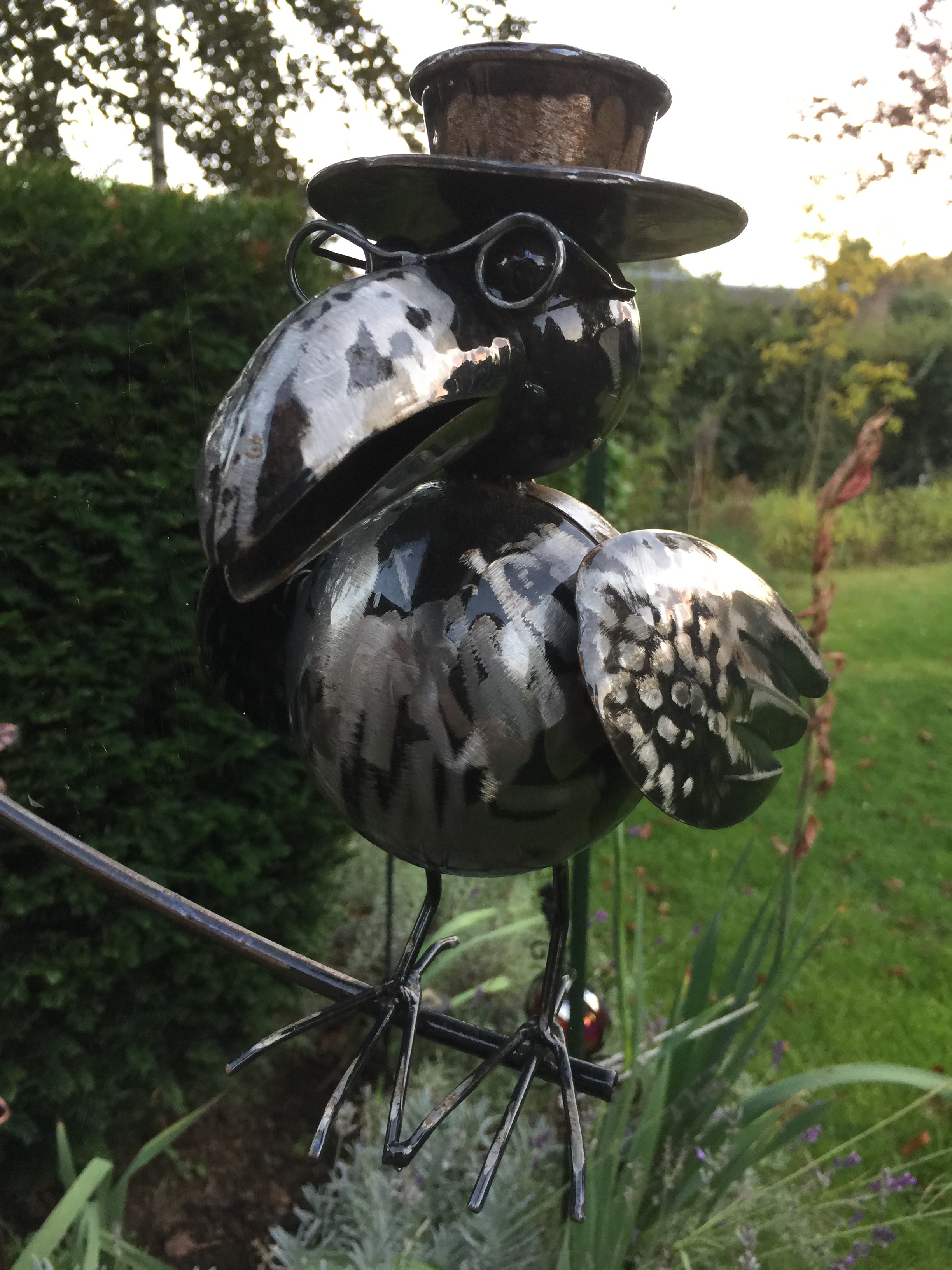 Fotoqualität des iPhone 6 Plus-img_0828.jpg