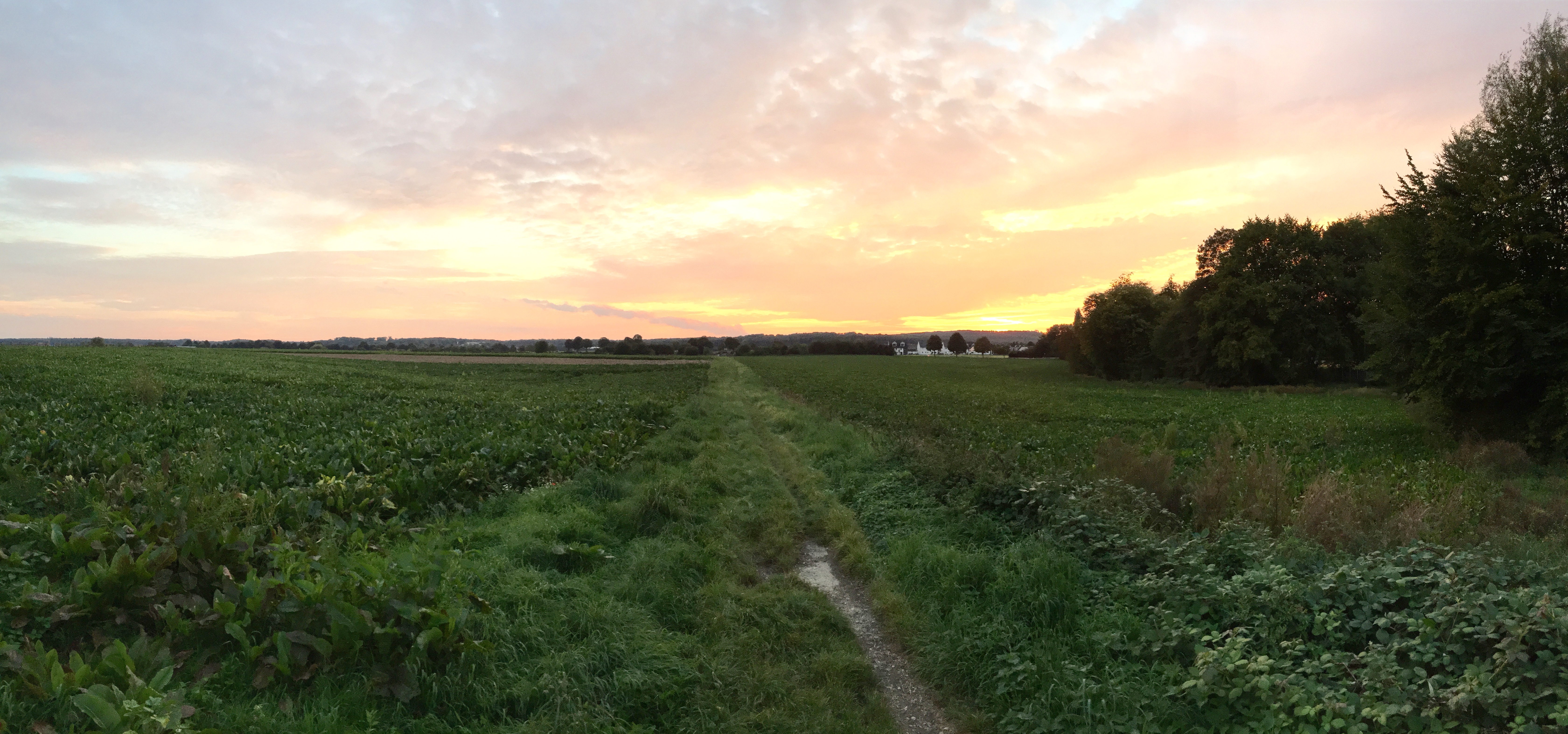 Fotoqualität des iPhone 6 Plus-img_0833.jpg