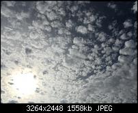 Fotoqualität des iPhone 6 Plus-img_0085.jpg