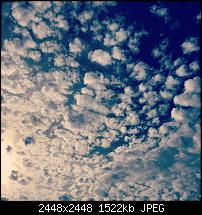 Fotoqualität des iPhone 6 Plus-img_0086.jpg