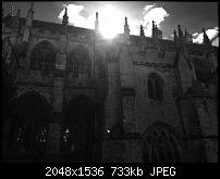 Fotoqualität des iPhone 6-img_0031_2.jpg