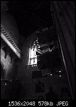 Fotoqualität des iPhone 6-img_0036_2.jpg