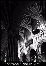 Fotoqualität des iPhone 6-img_0039_2.jpg