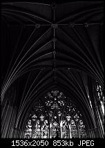 Fotoqualität des iPhone 6-img_0050_2.jpg