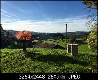 Fotoqualität des iPhone 6-image.jpg