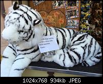 Fotoqualität des iPhone 6-imageuploadedbypocketpc.ch1413789315.093437.jpg