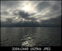 Fotoqualität des iPhone 6-img_1667.jpg