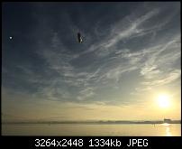 Fotoqualität des iPhone 6-img_1690.jpg