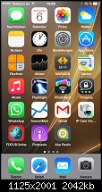 Zeigt euren iPhone 6 Plus Homescreen-img_0062.png