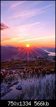 Der iPhone 6 Wallpaper Thread-nature-splendid-fantasy-landscape-iphone-6-wallpaper-ilikewallpaper_com_750.jpg