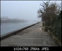 Fotoqualität des iPhone 6-imageuploadedbytapatalk1417952172.901565.jpg