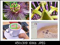 Der iPhone 6 Wallpaper Thread-12651891.jpg