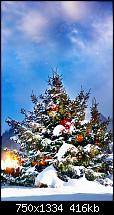 Der iPhone 6 Wallpaper Thread-christmas-trees-iphone-6-wallpaper.jpg