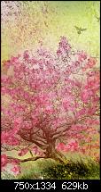 Der iPhone 6 Wallpaper Thread-papers.co-ai11-flower-spring-art-illust-happy-33-iphone6-wallpaper.jpg