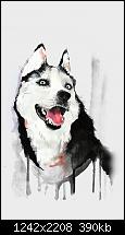 Der iPhone 6 Plus Wallpaper Thread-papers.co-ai25-happy-dog-husky-animal-illust-watercolor-34-iphone6-plus-wallpaper.jpg