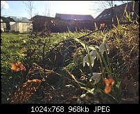 Fotoqualität des iPhone 6-imageuploadedbypocketpc.ch1424693706.403184.jpg