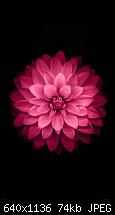 Der iPhone 6 Wallpaper Thread-imageuploadedbytapatalk1430661842.077102.jpg