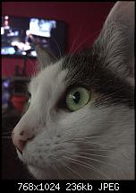 Fotoqualität des iPhone 6-imageuploadedbytapatalk1431788581.511705.jpg