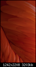Der iPhone 6 Wallpaper Thread-1.png