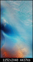 Der iPhone 6 Wallpaper Thread-3.png