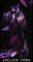 Der iPhone 6 Wallpaper Thread-13.png