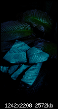 Der iPhone 6 Wallpaper Thread-15.png