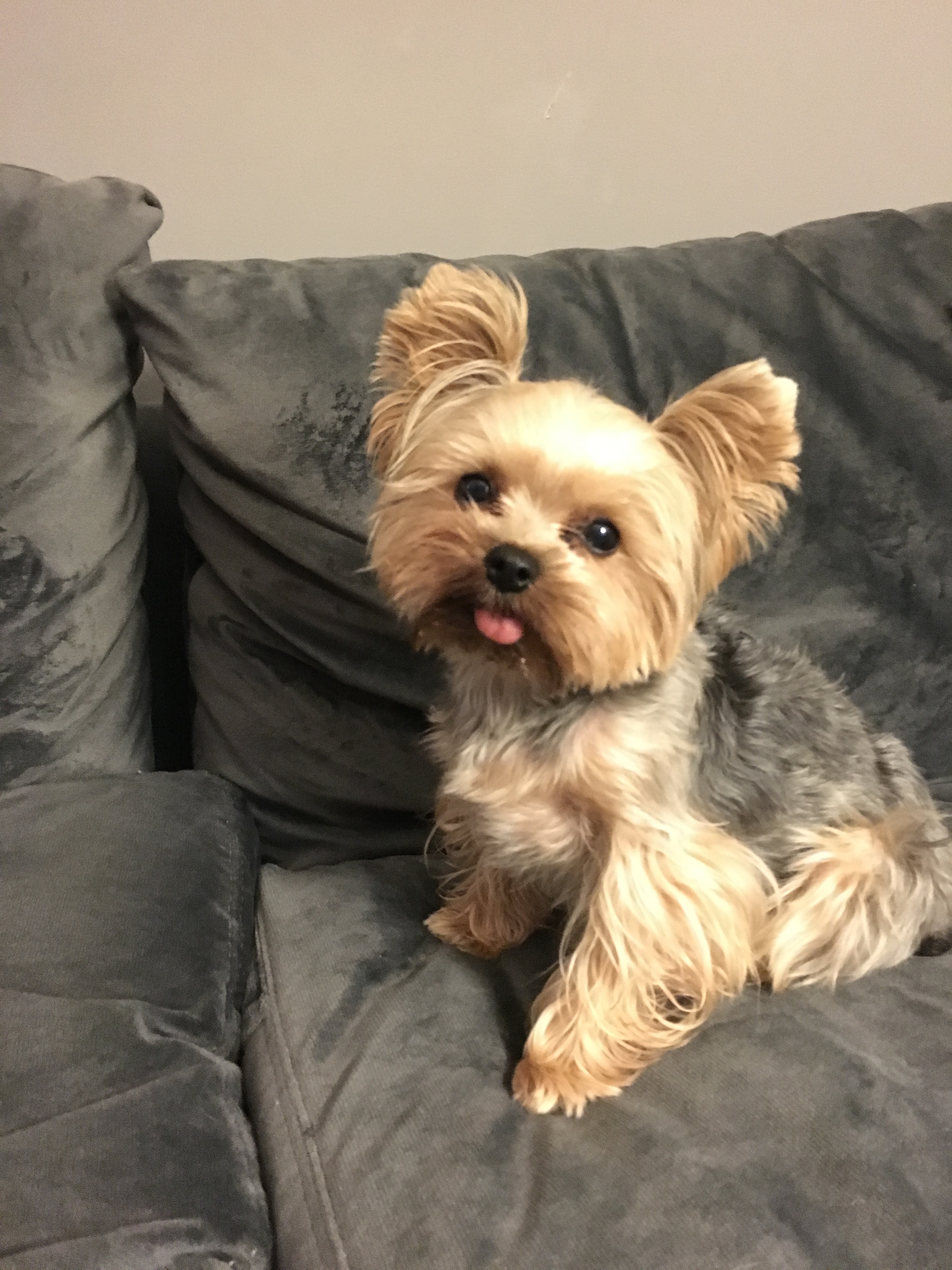 Erster echter iPhone 6s Benchmark und Fotos der iPhone 6s-Kamera aufgetaucht-image2.jpg