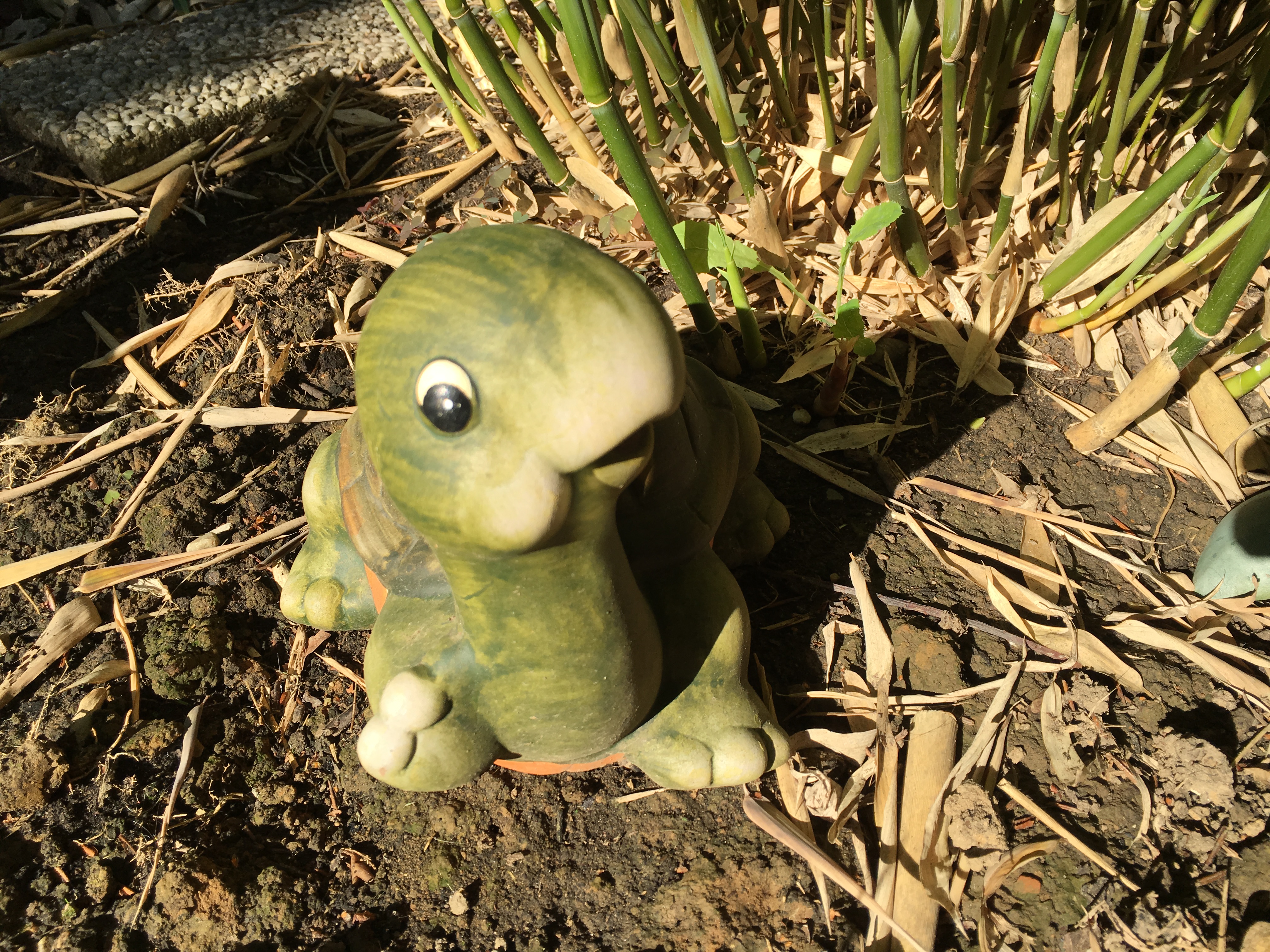 Foto- und Videoqualität des iPhone 6S und 6S Plus-image.jpeg