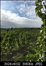 Foto- und Videoqualität des iPhone 6S und 6S Plus-img_0985.jpg