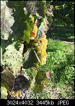 Foto- und Videoqualität des iPhone 6S und 6S Plus-img_1033.jpg